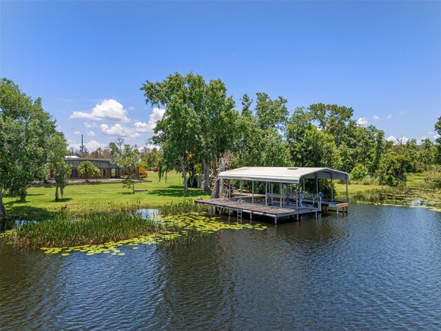 6790 Bay Shore Dr, Saint Cloud, FL 34771 - photo 43