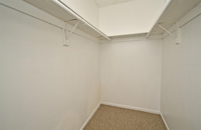5564 Slash Pine Ct Unit 4, Orlando, FL 32811 - photo 25