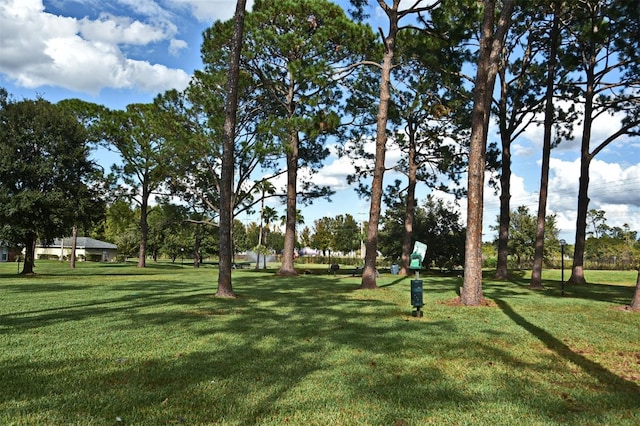5564 Slash Pine Ct Unit 4, Orlando, FL 32811 - photo 34