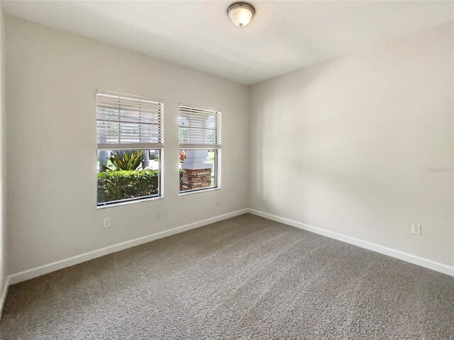 19491 Paddock View Dr, Tampa, FL 33647 - photo 11