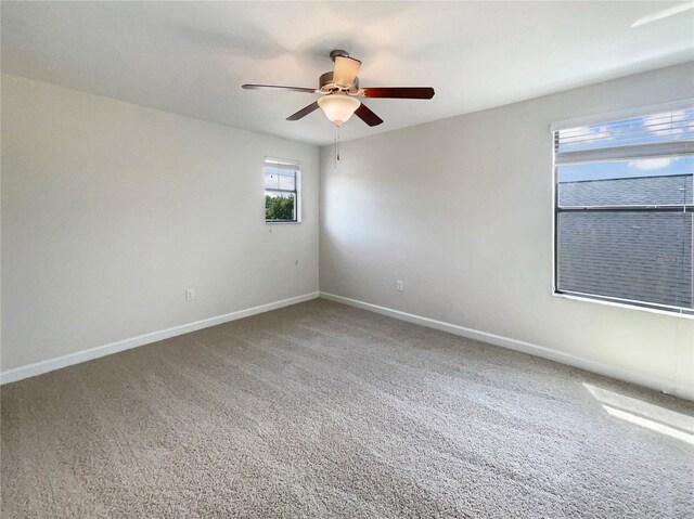 19491 Paddock View Dr, Tampa, FL 33647 - photo 24