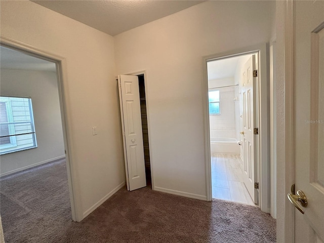 3352 Hamlet Loop, Winter Park, FL 32792 - corridor featuring carpet floors and healthy amount of natural light