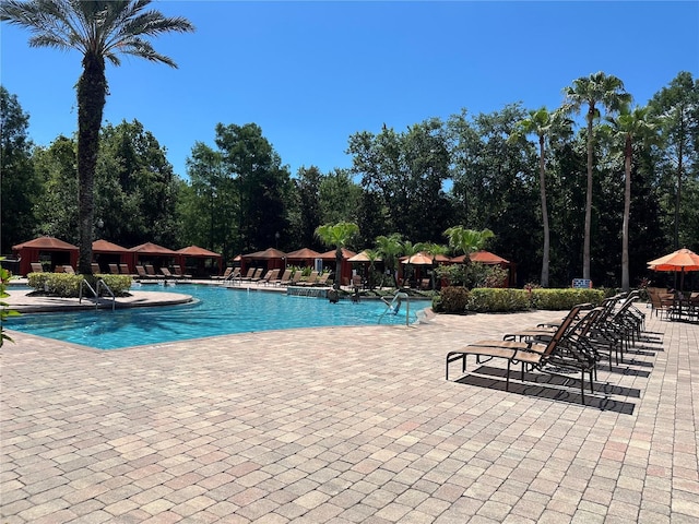 1370 Tuscan Ter Unit 2202, Davenport, FL 33896 - community pool featuring a patio area and view of wooded area