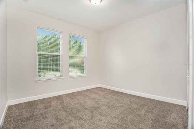 9955 Patrician Dr, New Port Richey, FL 34655 - unfurnished room with carpet flooring and baseboards