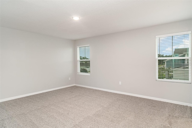 12829 Scarlet Star Dr, Riverview, FL 33579 - photo 8