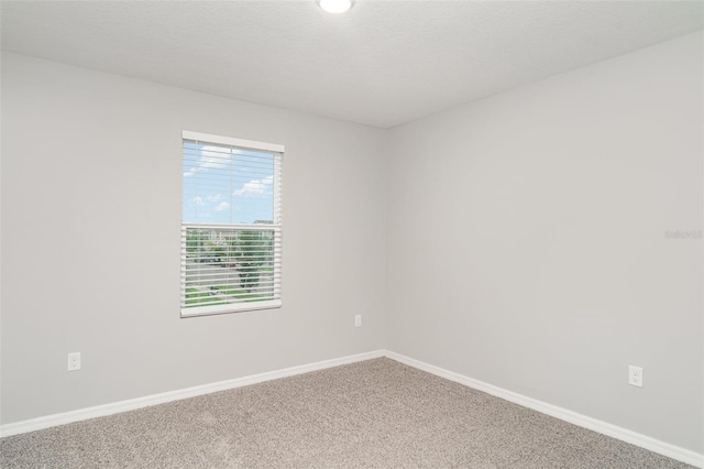 12829 Scarlet Star Dr, Riverview, FL 33579 - photo 12