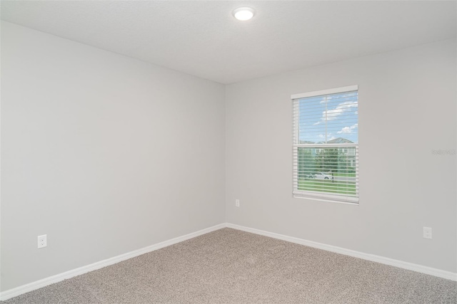 12829 Scarlet Star Dr, Riverview, FL 33579 - photo 13
