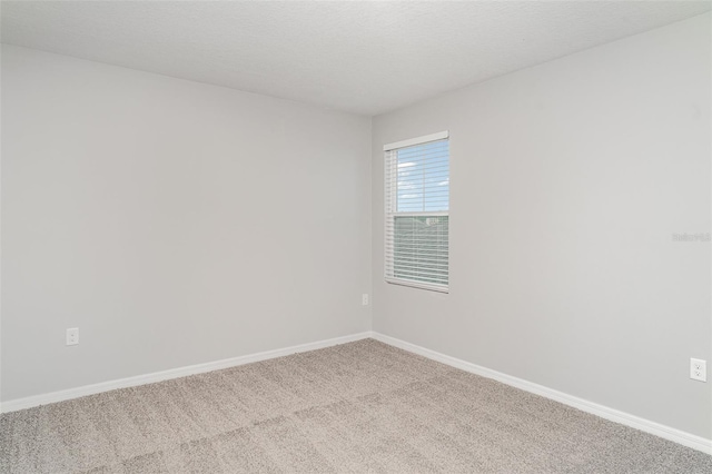 12829 Scarlet Star Dr, Riverview, FL 33579 - photo 14