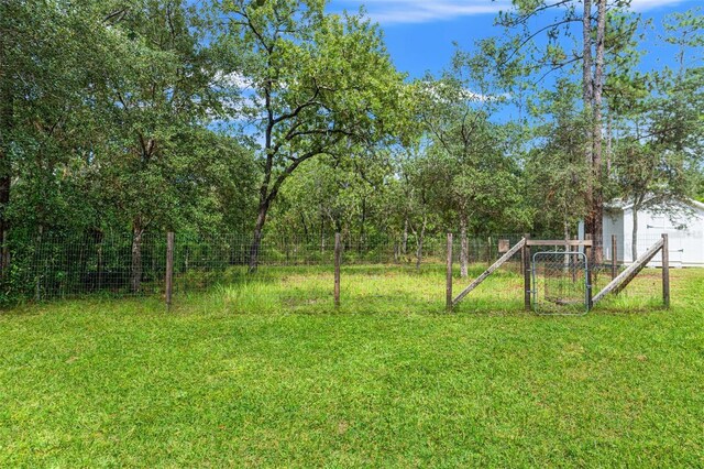 15364 Mount Sparrow Rd, Weeki Wachee, FL 34614 - view of yard