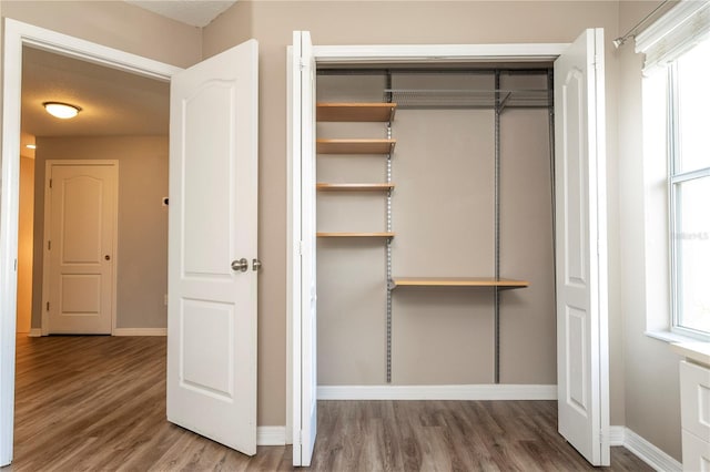 11081 Savannah Landing Cir, Orlando, FL 32832 - view of closet