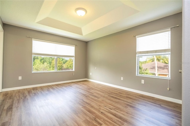 11081 Savannah Landing Cir, Orlando, FL 32832 - unfurnished room with wood finished floors and a raised ceiling