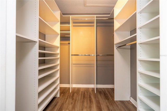 11081 Savannah Landing Cir, Orlando, FL 32832 - walk in closet with wood finished floors