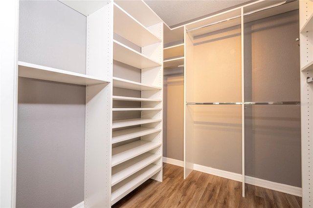 11081 Savannah Landing Cir, Orlando, FL 32832 - spacious closet with wood finished floors