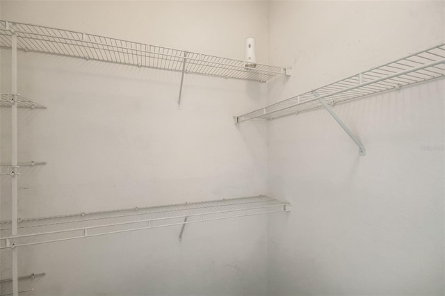 1275 Lake Shadow Cir Unit 13106, Maitland, FL 32751 - view of spacious closet