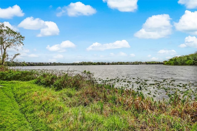1275 Lake Shadow Cir Unit 13106, Maitland, FL 32751 - water view