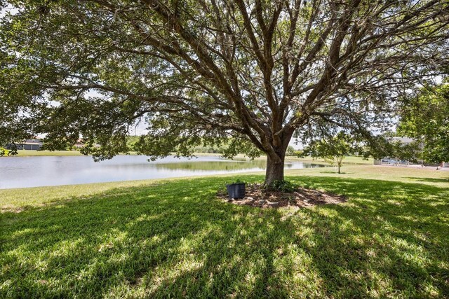 2512 Chapala Dr, Kissimmee, FL 34746 - photo 32
