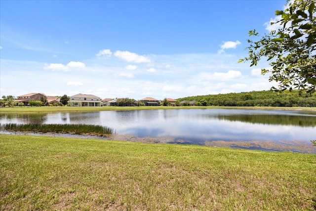 2512 Chapala Dr, Kissimmee, FL 34746 - photo 33