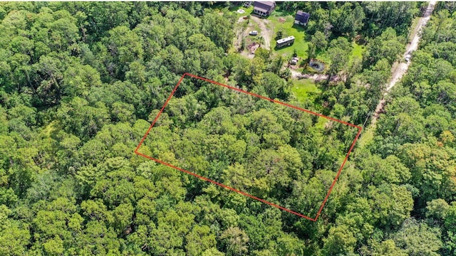 Amelia Trl, Kissimmee, FL 34747