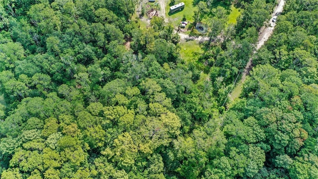 Amelia Trl, Kissimmee, FL 34747