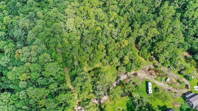 Amelia Trl, Kissimmee, FL 34747