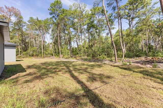 17445 SW 41st Cir, Ocala, FL 34473 - view of green lawn