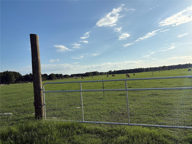13994 County Road 209, Oxford, FL 34484 - photo 3