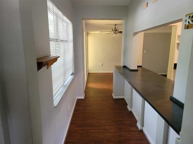 8035 Robin Rd, Seminole, FL 33777 - photo 4