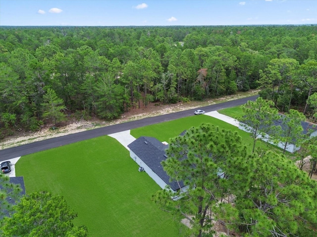 17493 SW 41st Cir, Ocala, FL 34473 - photo 38
