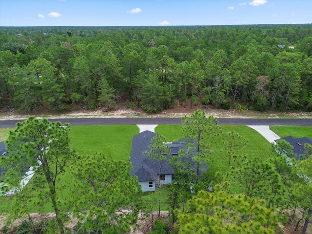 17493 SW 41st Cir, Ocala, FL 34473 - photo 39