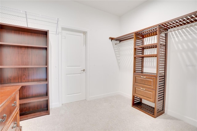 11687 SW Viridian Blvd, Port St Lucie, FL 34987 - walk in closet with carpet