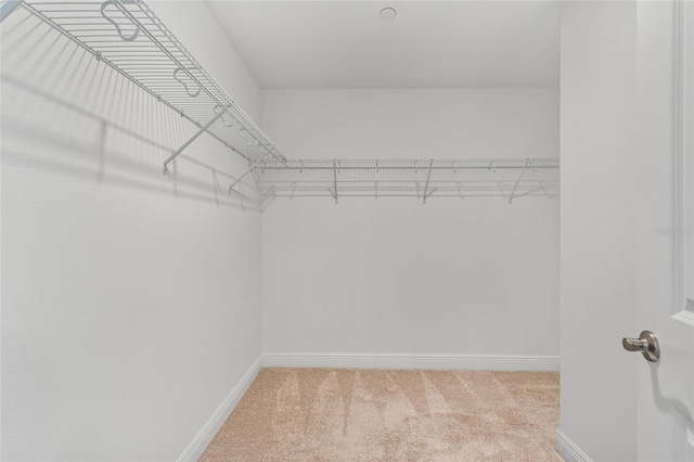8484 Sperry St, Orlando, FL 32827 - walk in closet featuring carpet floors