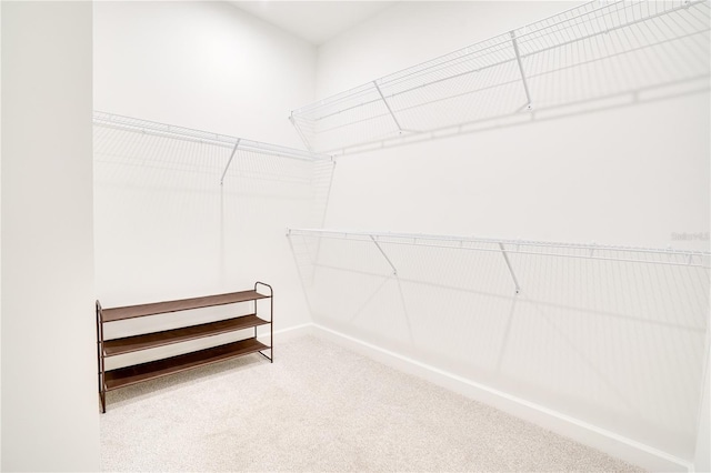 11695 SW Viridian Blvd, Port St Lucie, FL 34987 - spacious closet with carpet