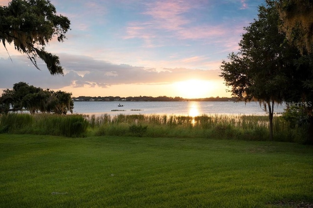 15787 Tangerine Dream Ct, Winter Garden, FL 34787 - water view