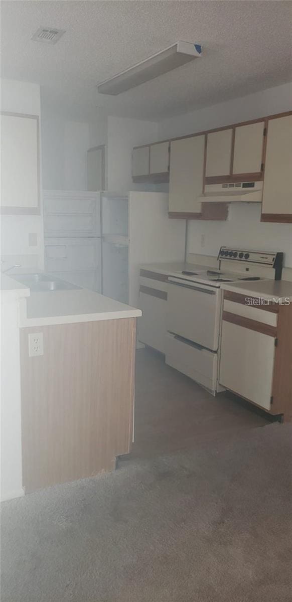 958 Salt Pond Pl Unit 103, Altamonte Springs, FL 32714 - kitchen featuring white electric stove, under cabinet range hood, carpet flooring, a textured ceiling, and light countertops