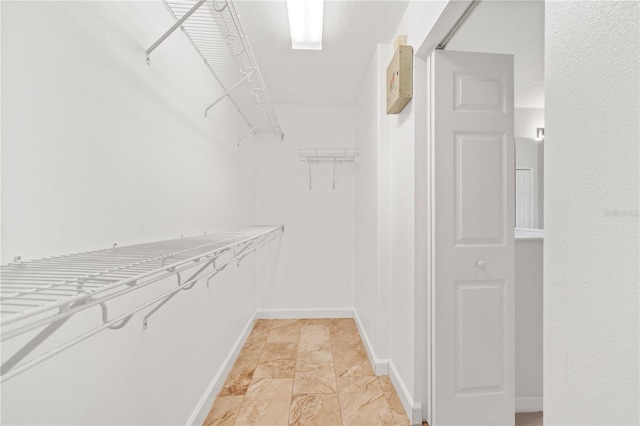 9003 Pecky Cypress Way, Orlando, FL 32836 - view of walk in closet