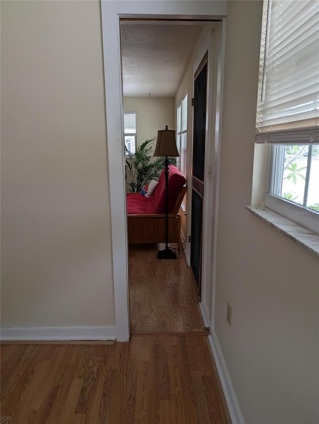 417 Shore Rd, Nokomis, FL 34275 - hallway with wood finished floors and healthy amount of natural light