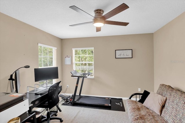 1941 Sunset Palm Dr, Apopka, FL 32712 - photo 17