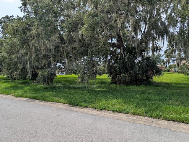 3504 Shorewood Dr, Kissimmee, FL 34746 - view of asphalt road