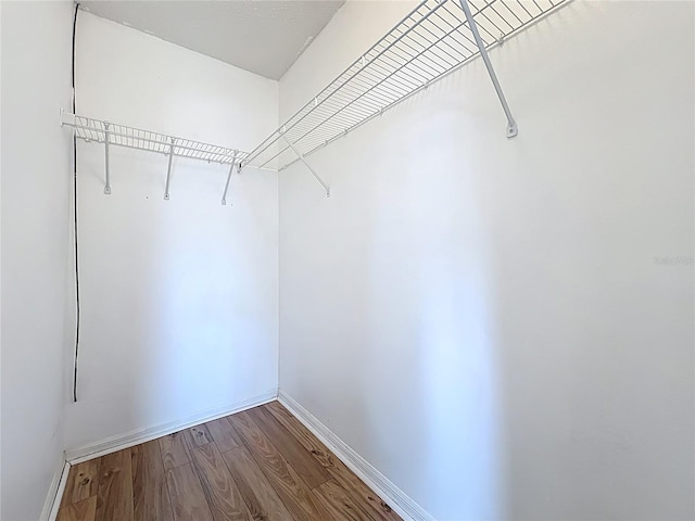 1751 Chatham Cir, Apopka, FL 32703 - walk in closet featuring dark wood-type flooring