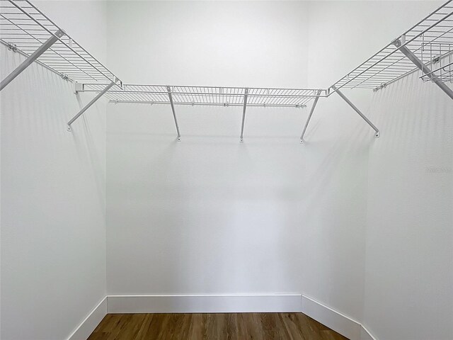 2092 Switch Grass Cir, Ocoee, FL 34761 - spacious closet featuring dark wood-style flooring