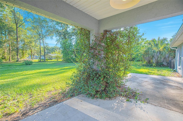 4911 NE 7th St, Ocala, FL 34470 - view of green lawn with a patio
