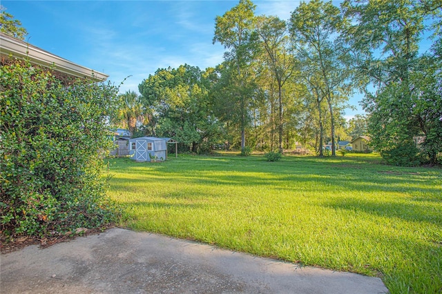 4911 NE 7th St, Ocala, FL 34470 - view of grassy yard with an outdoor structure and an exterior structure