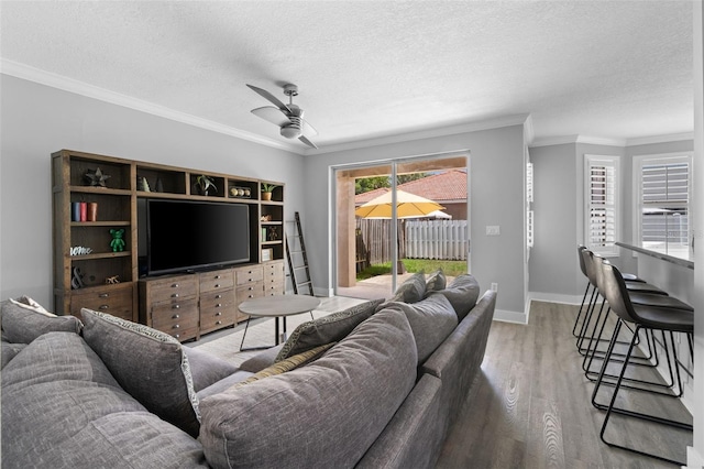 12978 SW 26th St, Miramar, FL 33027 - living area with crown molding, a ceiling fan, a textured ceiling, and light wood-style floors