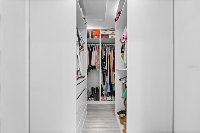 12978 SW 26th St, Miramar, FL 33027 - walk in closet featuring light wood-style floors