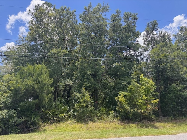 18428 Hewlett Rd, Orlando, FL 32820 - photo 1