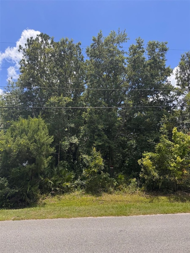 18428 Hewlett Rd, Orlando, FL 32820 - photo 2