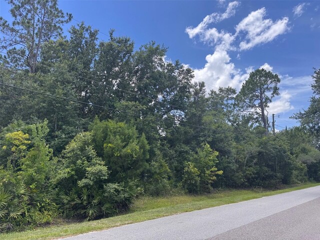18428 Hewlett Rd, Orlando, FL 32820 - photo 3