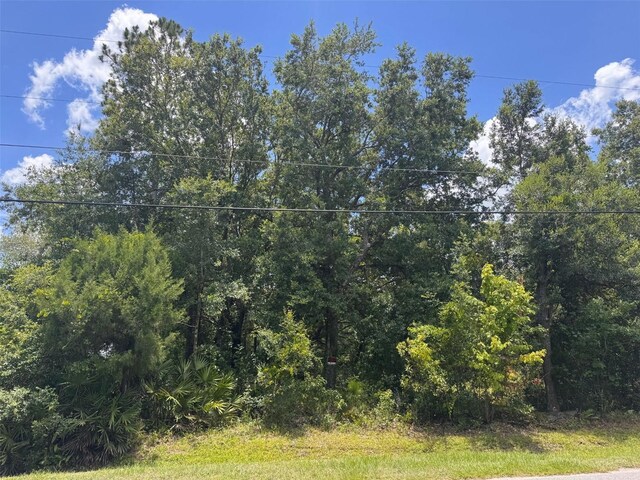 18428 Hewlett Rd, Orlando, FL 32820 - photo 5