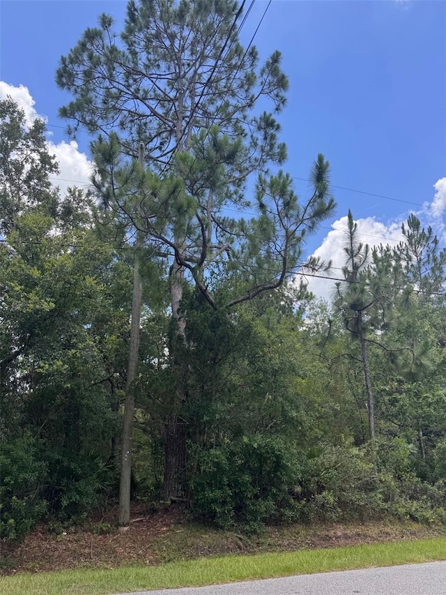 18428 Hewlett Rd, Orlando, FL 32820 - photo 8