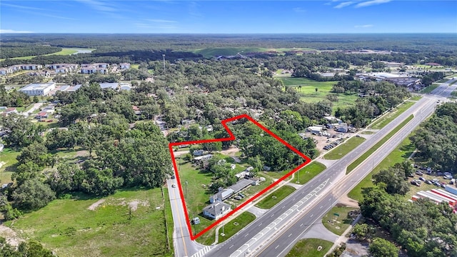 11302 N 301st Hwy, Thonotosassa, FL 33592 - photo 1